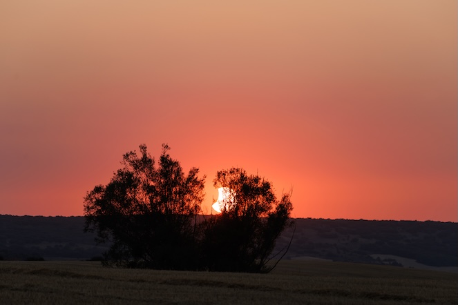 Zonsondergang